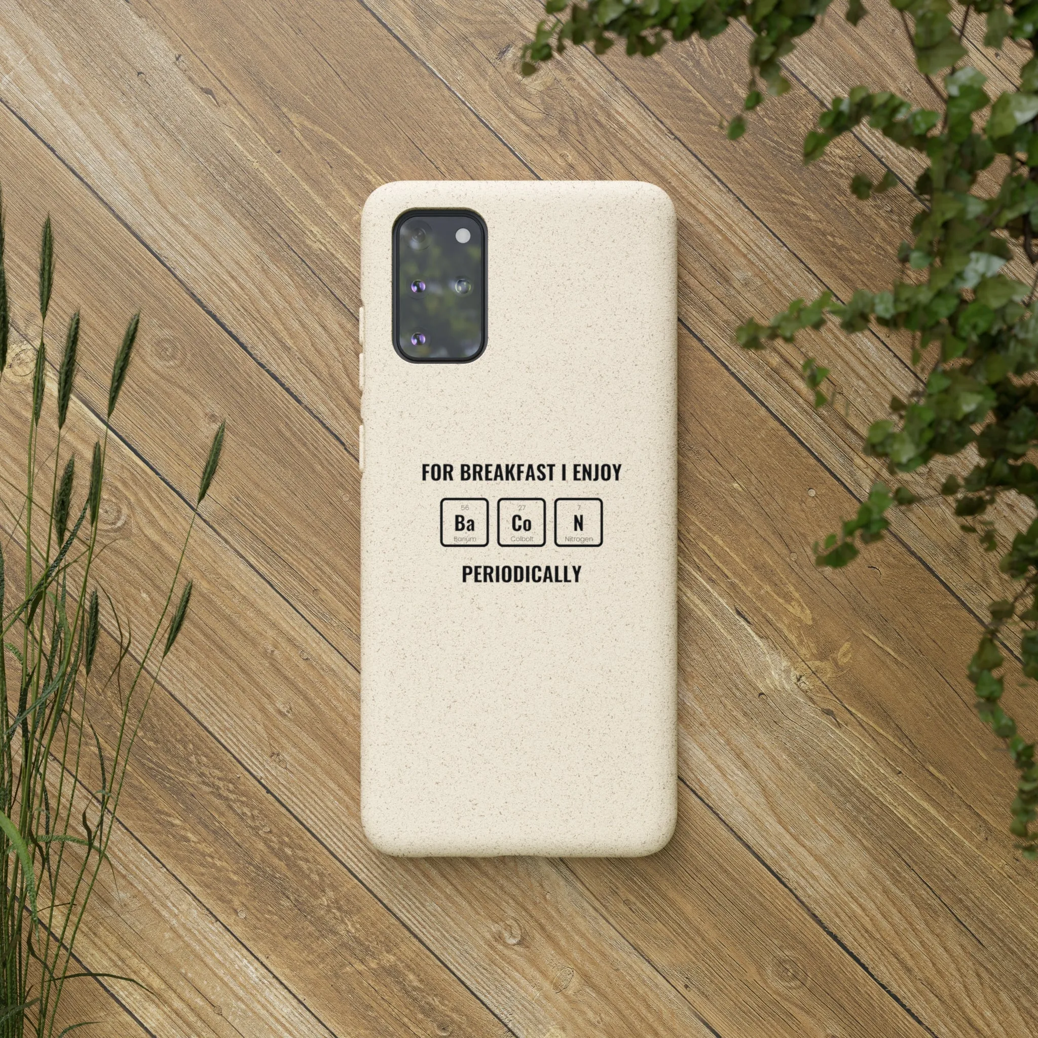 Biodegradable Cases