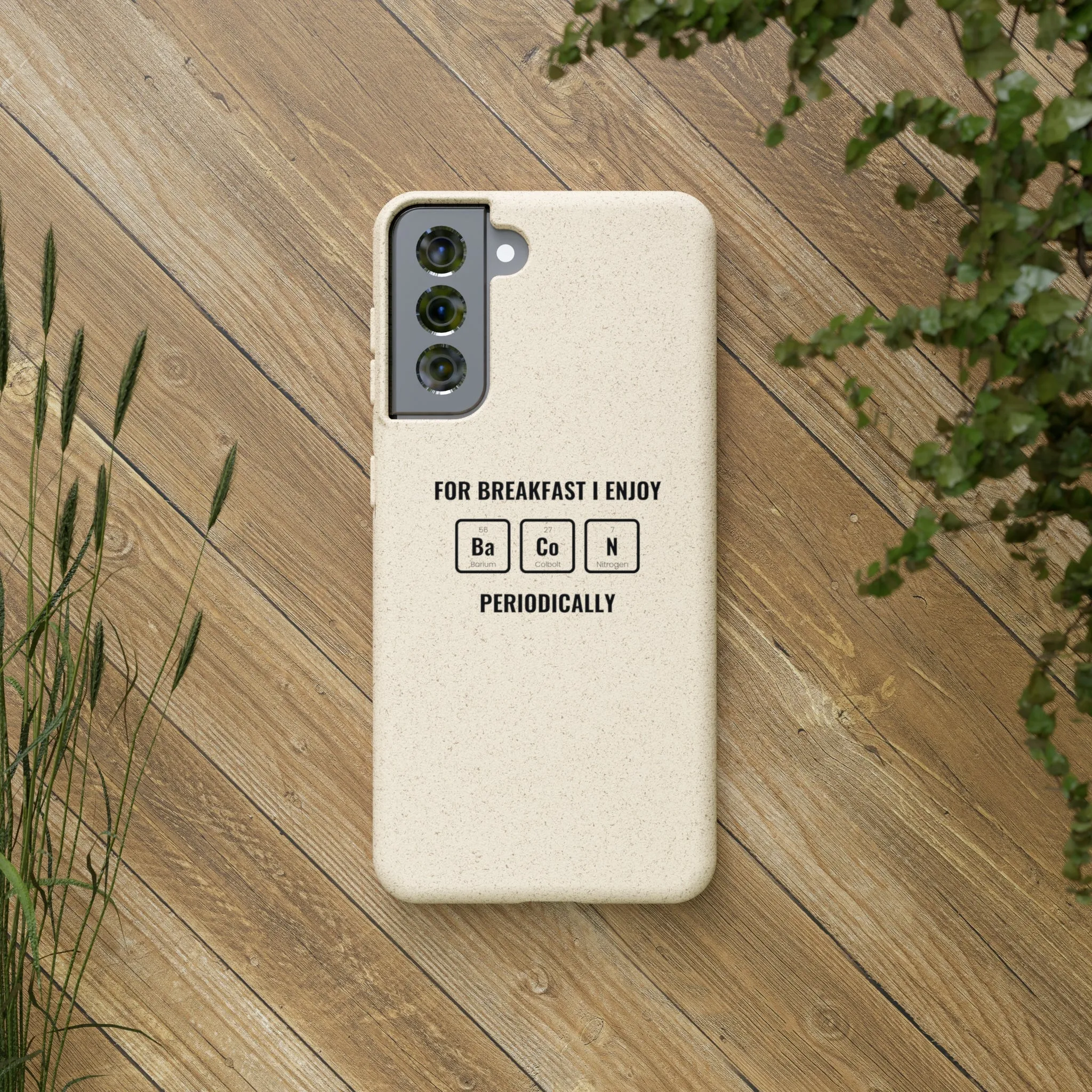 Biodegradable Cases