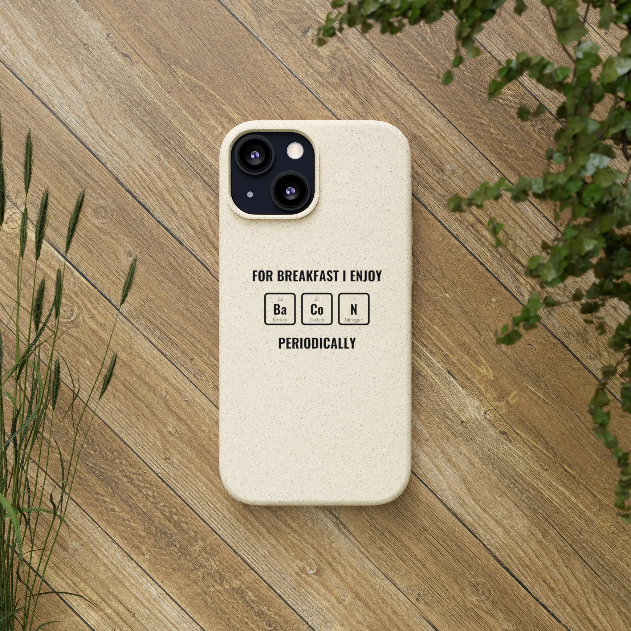 Biodegradable Cases