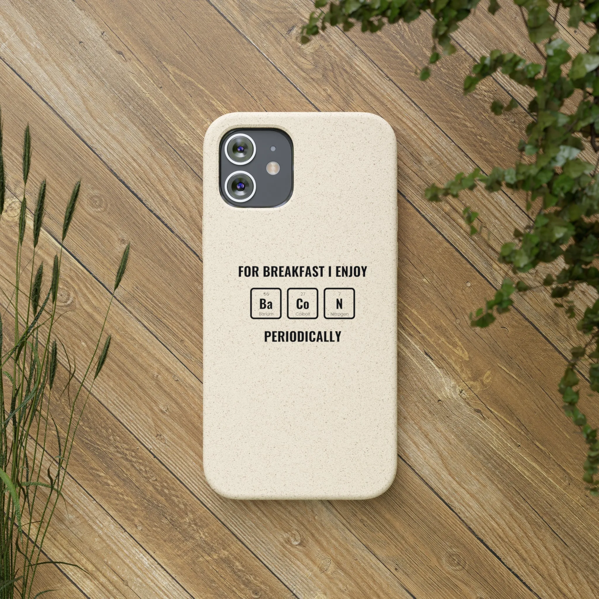 Biodegradable Cases