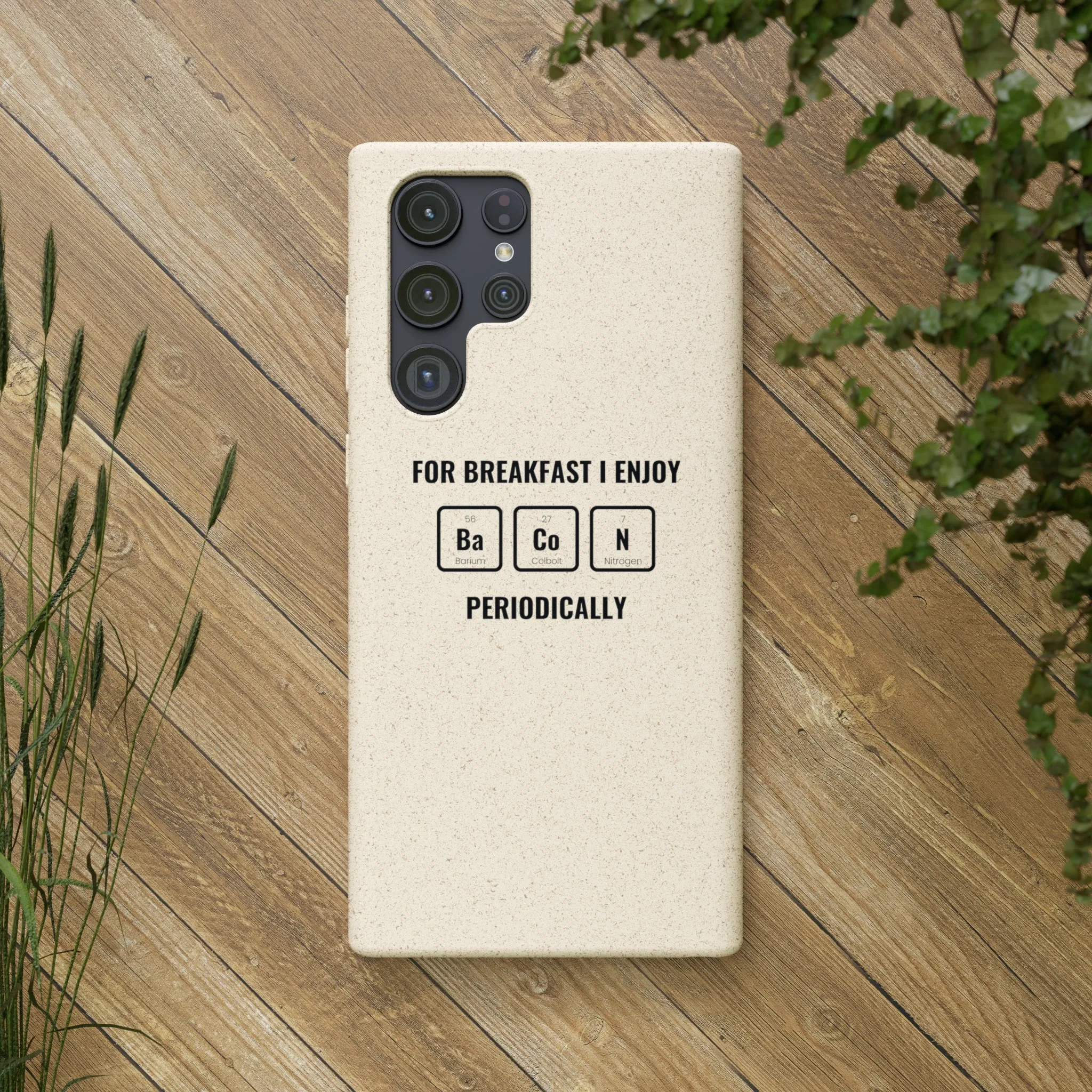 Biodegradable Cases