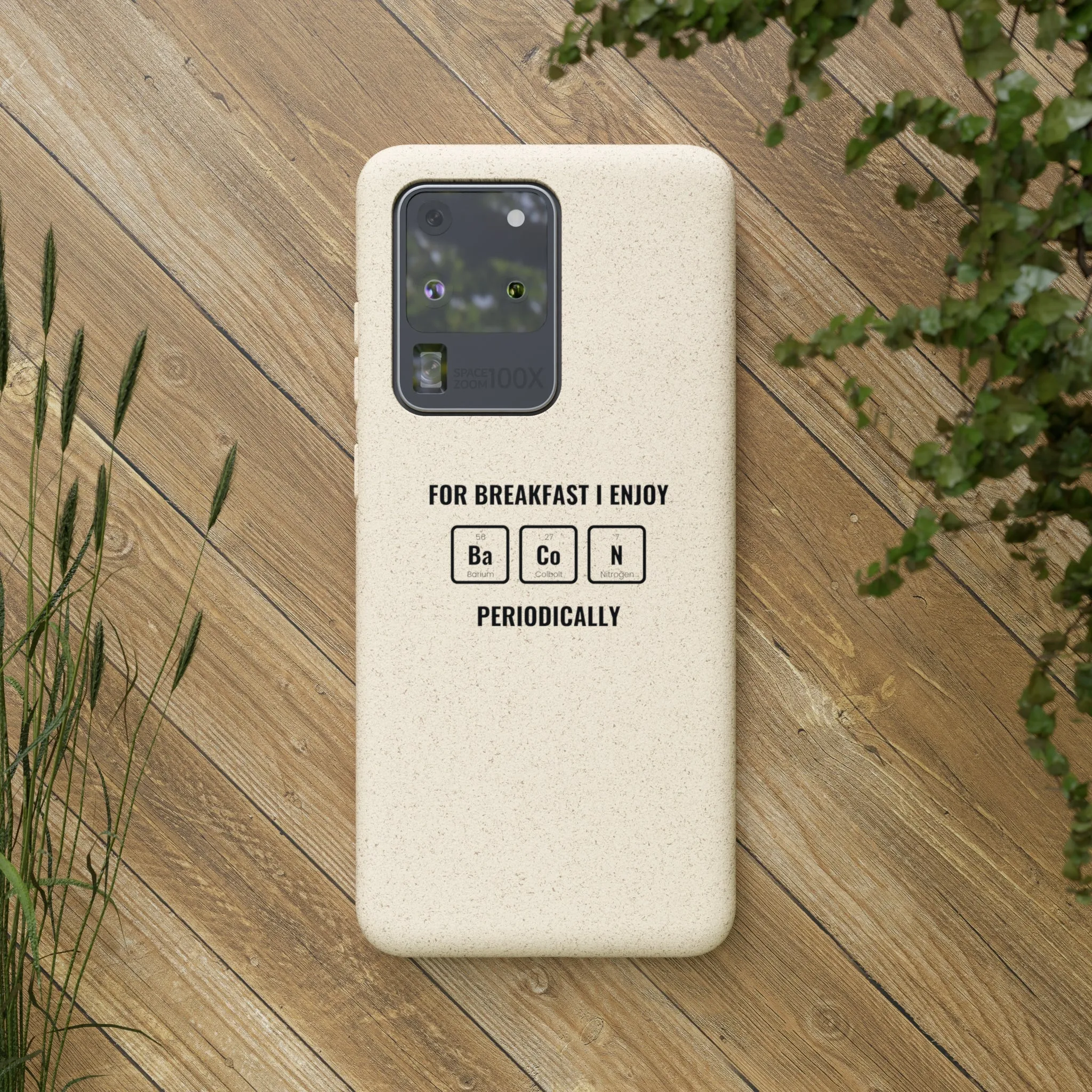 Biodegradable Cases