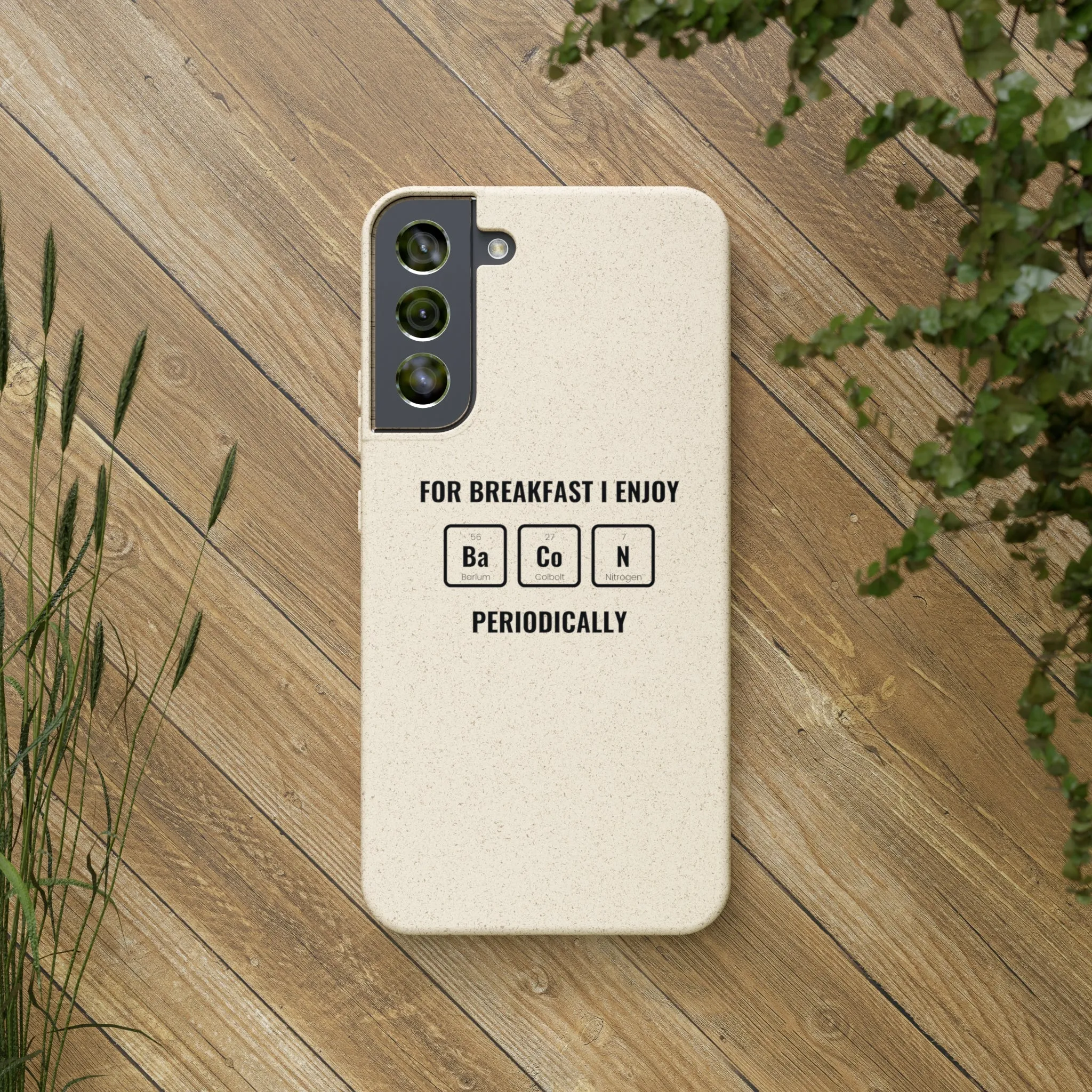 Biodegradable Cases