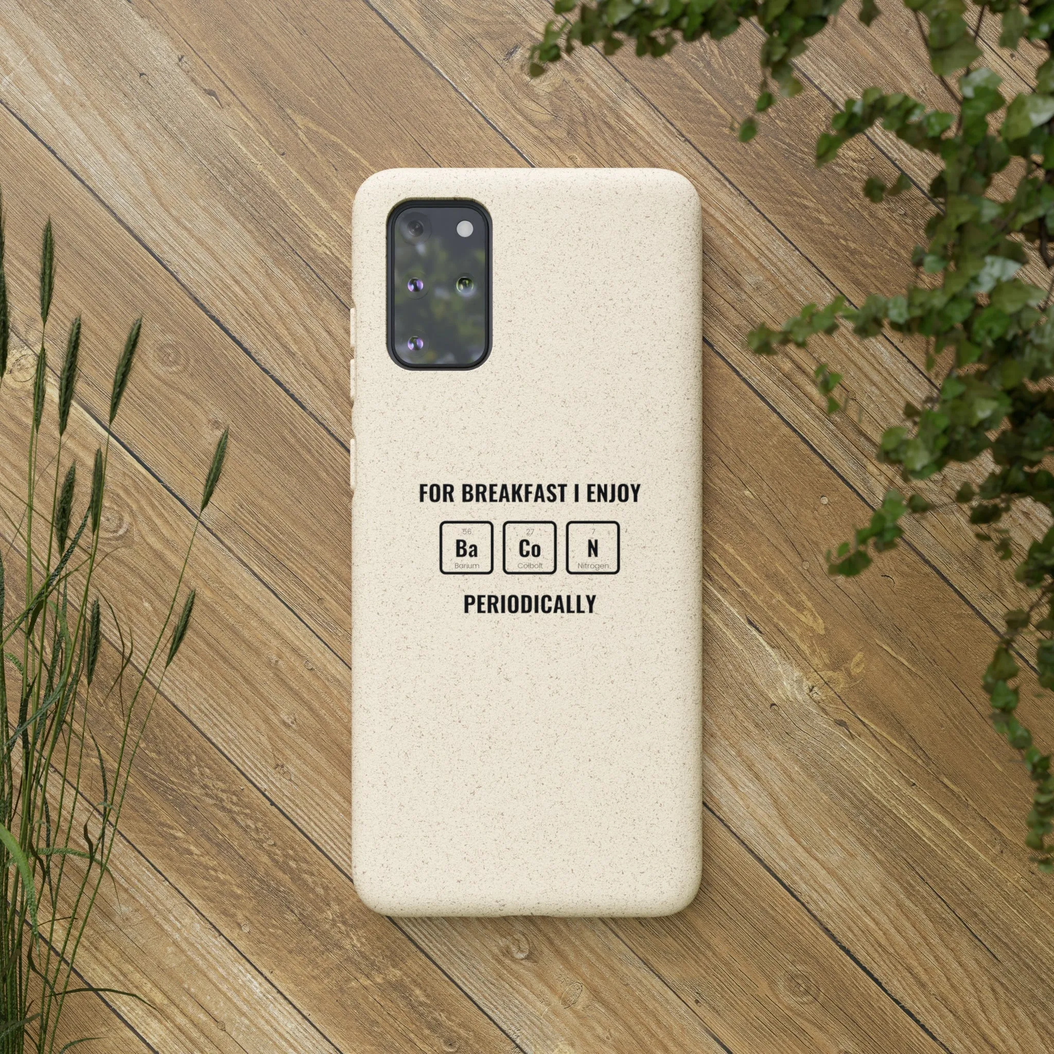 Biodegradable Cases