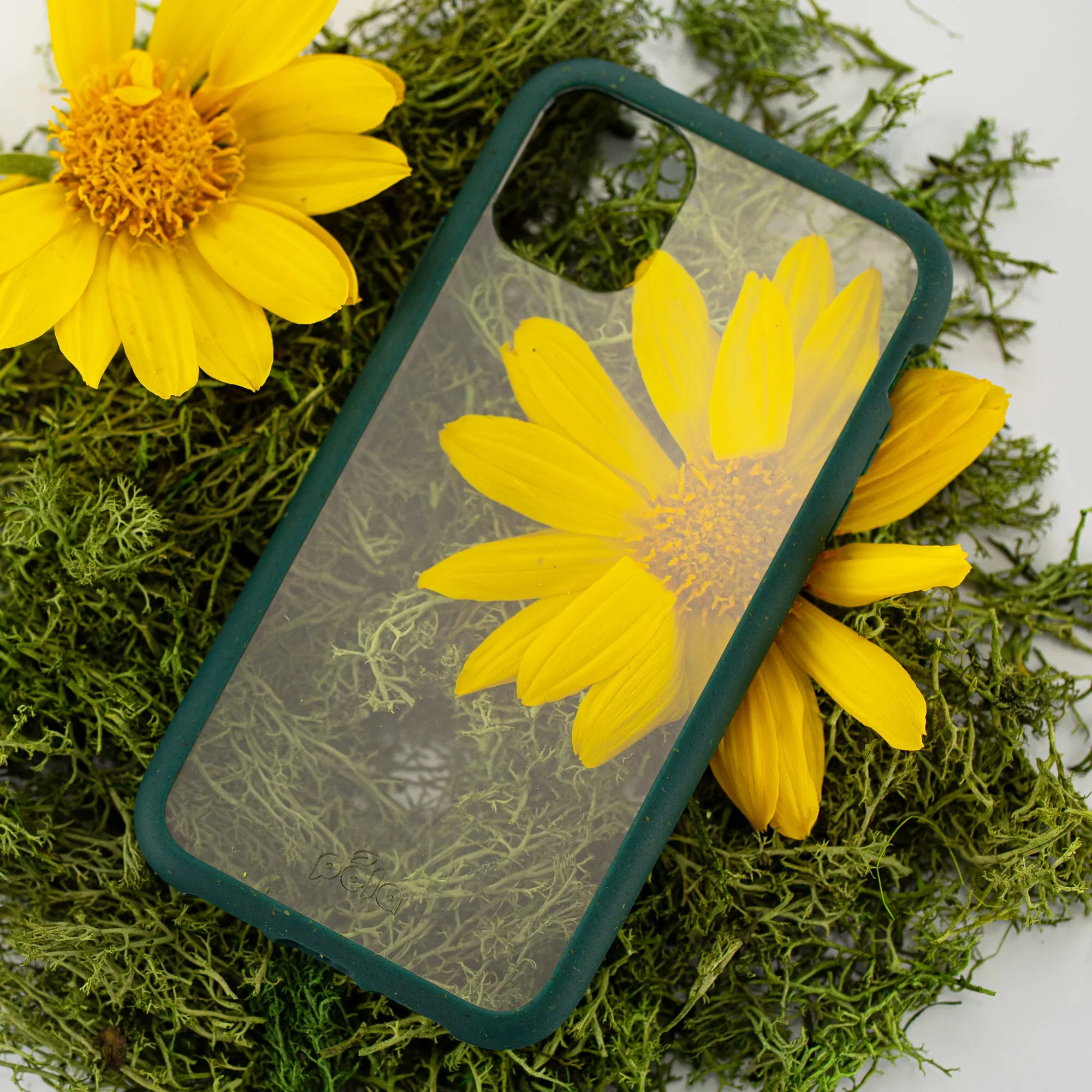 Clear iPhone XR Case with Green Ridge