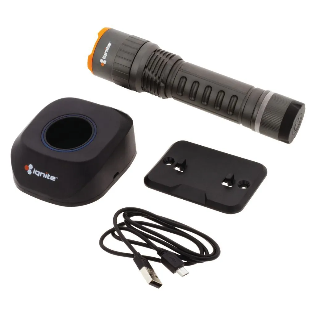 Heavy Duty Medium Torch With Focus & Charging Dock